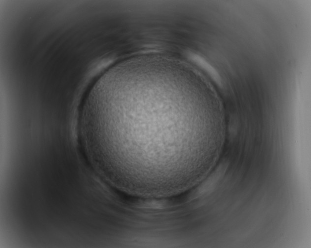 X0000093161411200710031437