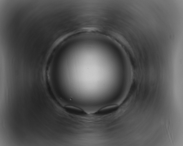 X0000093161412200710031437