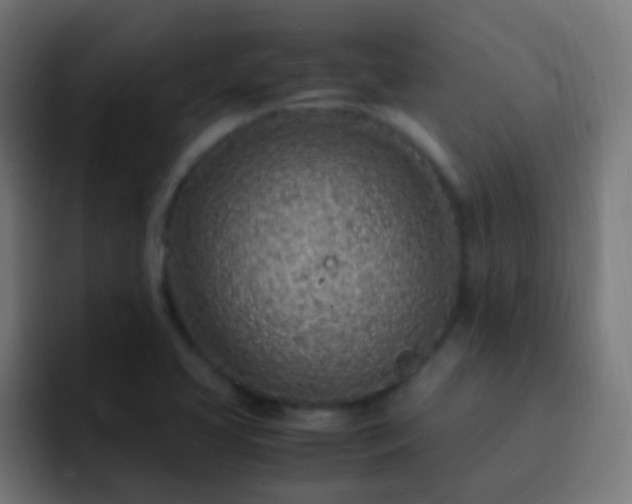X0000093161413200710031437