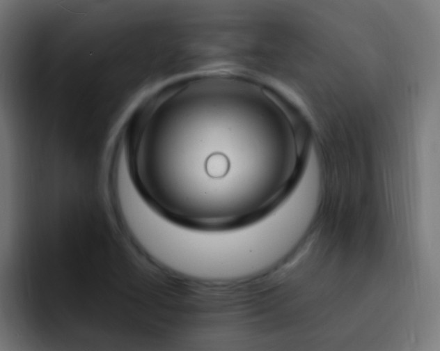 X0000093161414200710031437