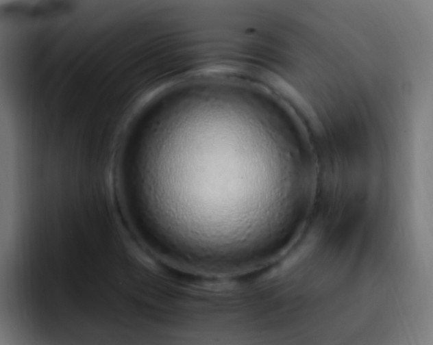 X0000093161417200710031437