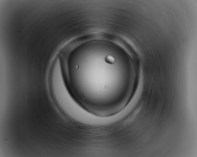 X0000093161418200710031437