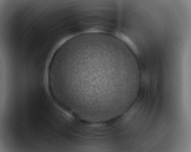 X0000093161419200710031437