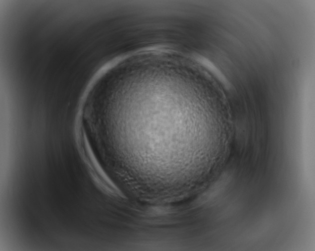 X0000093161421200710031437