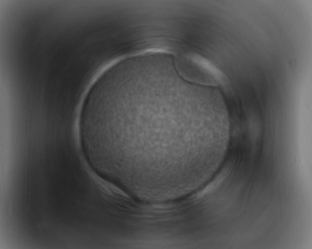 X0000093161423200710031438
