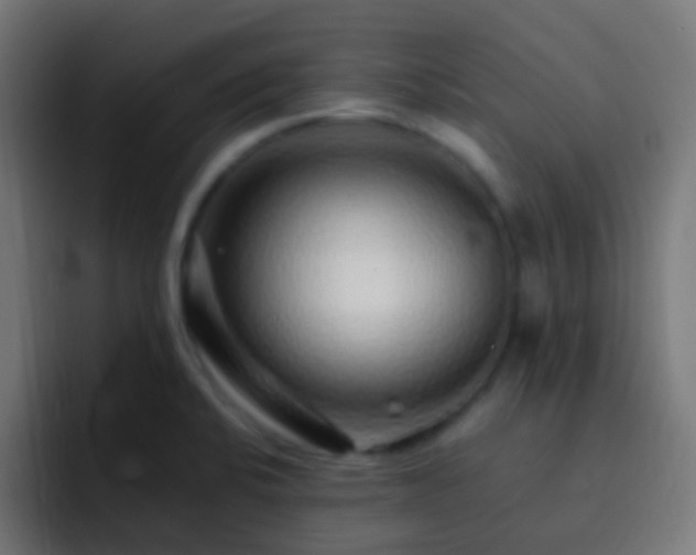 X0000093161424200710031438
