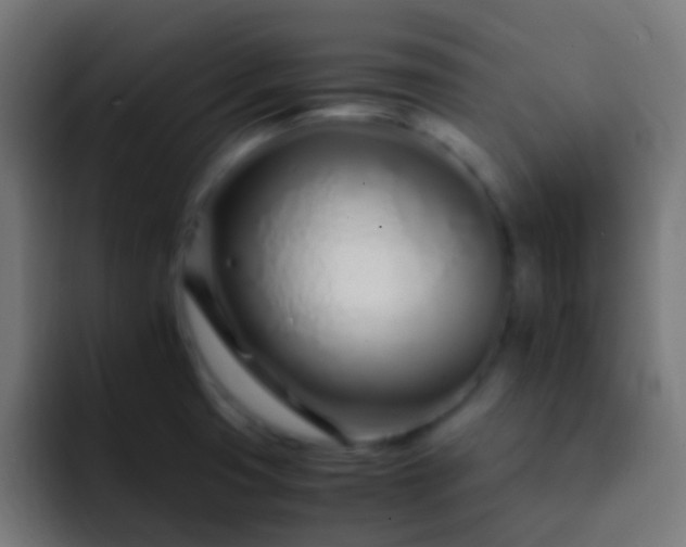 X0000093161425200710031438