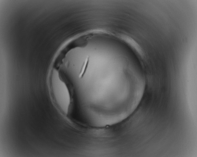 X0000093161428200710031438