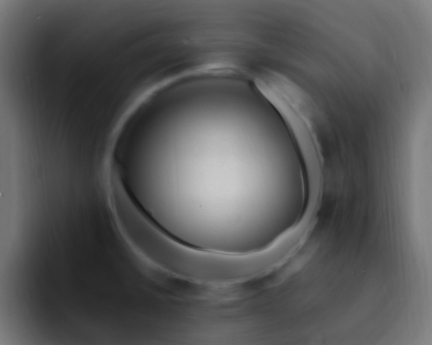 X0000093161430200710031438