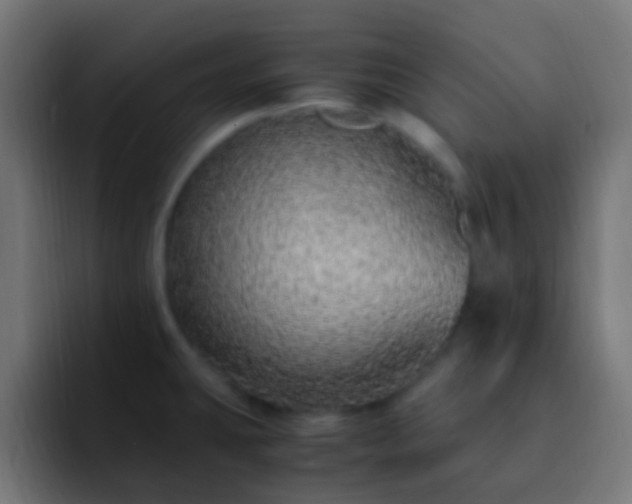 X0000093161431200710031438
