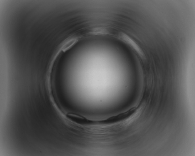 X0000093161434200710031438