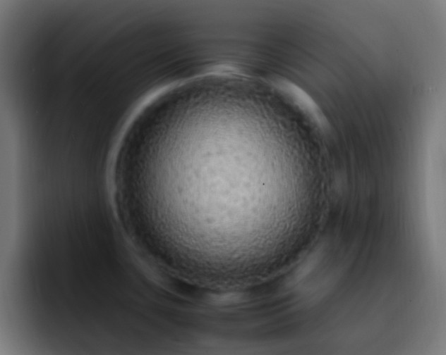 X0000093161435200710031438