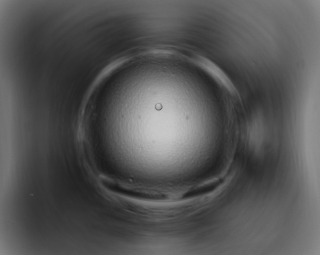 X0000093161436200710031438