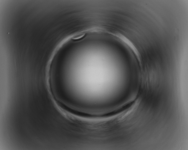 X0000093161437200710031438
