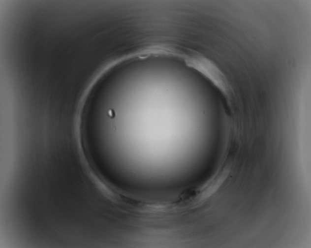 X0000093161438200710031438