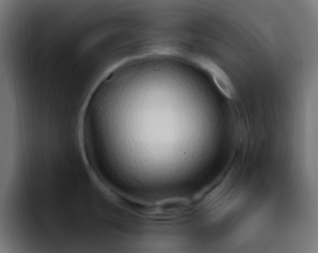 X0000093161439200710031438