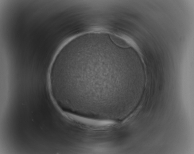 X0000093161440200710031438