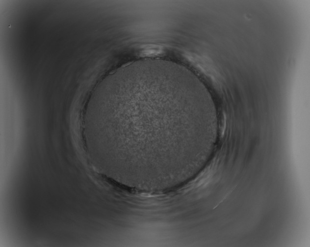 X0000093161441200710031437