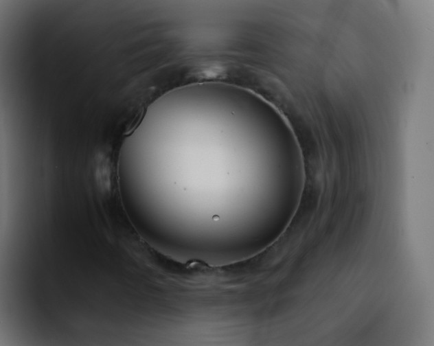 X0000093161442200710031437