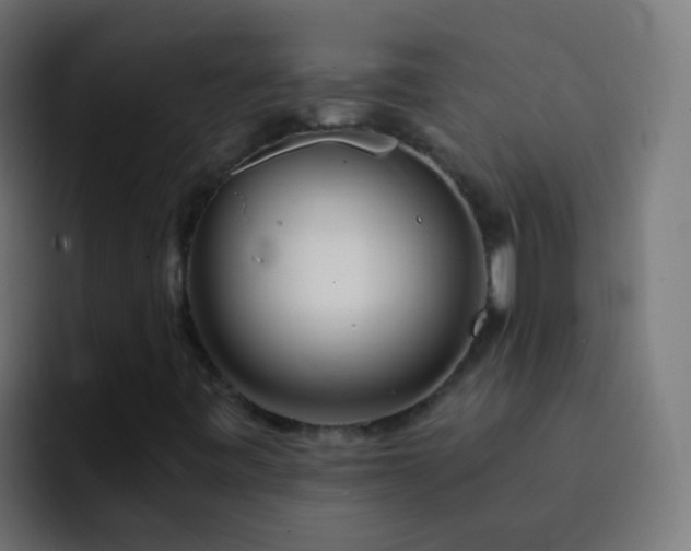 X0000093161443200710031437