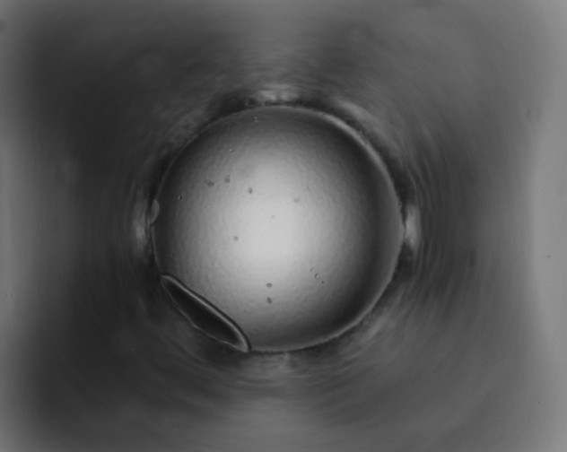 X0000093161444200710031437
