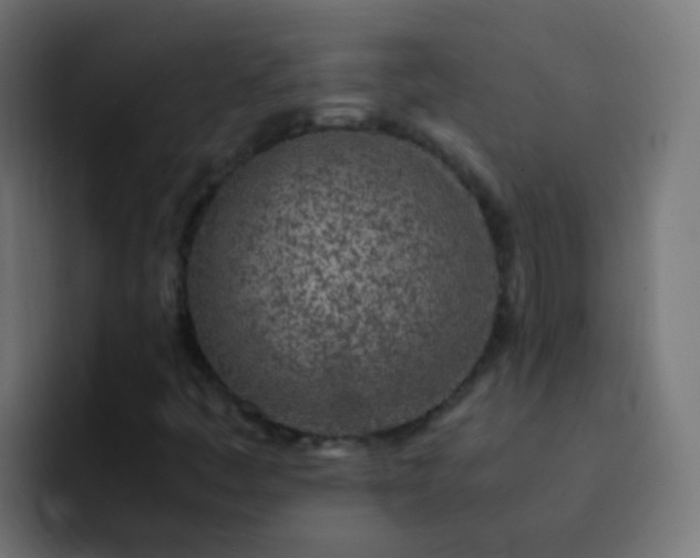 X0000093161445200710031437