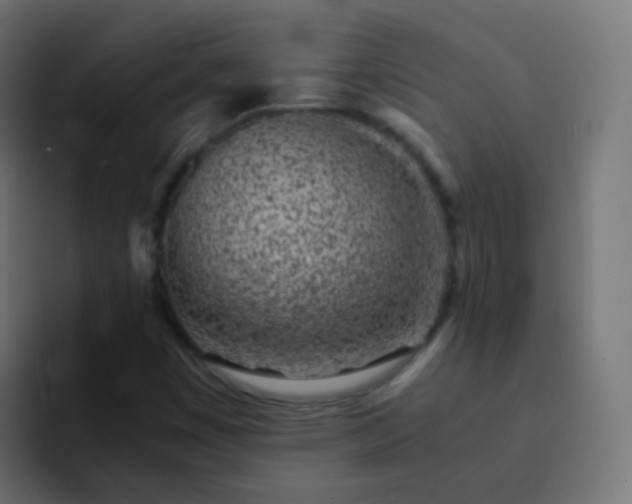 X0000093161449200710031437