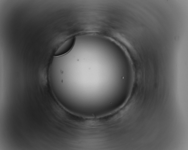 X0000093161451200710031437