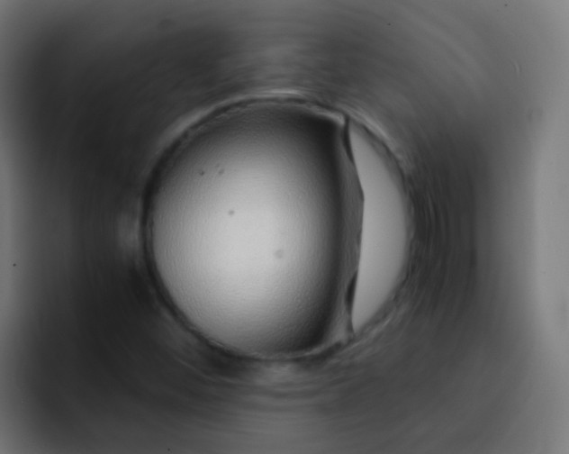 X0000093161452200710031437