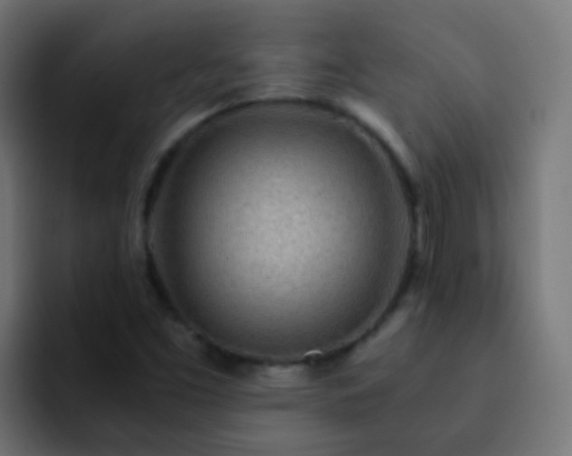 X0000093161453200710031437