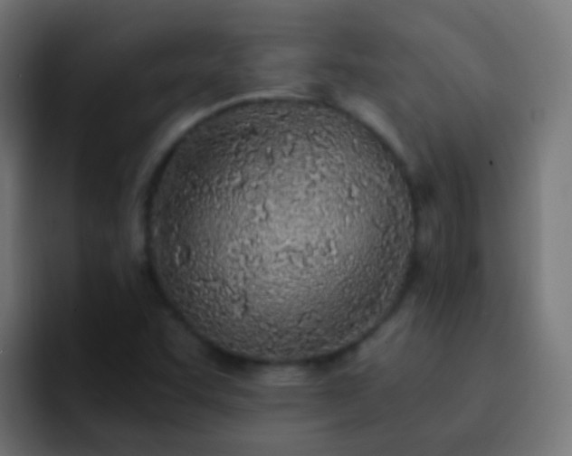 X0000093161455200710031437