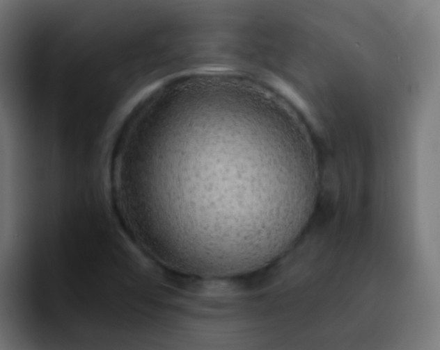 X0000093161456200710031437