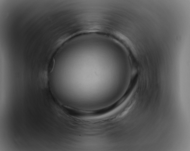X0000093161457200710031437