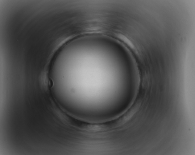 X0000093161458200710031437