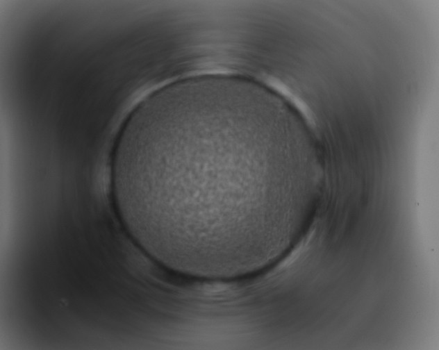 X0000093161459200710031437