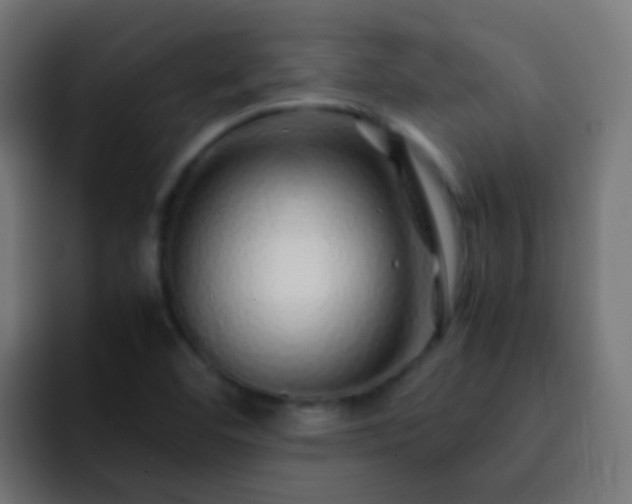 X0000093161460200710031437