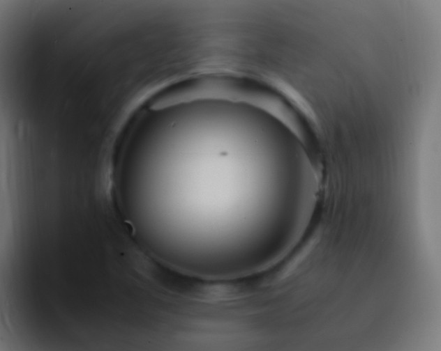 X0000093161461200710031437