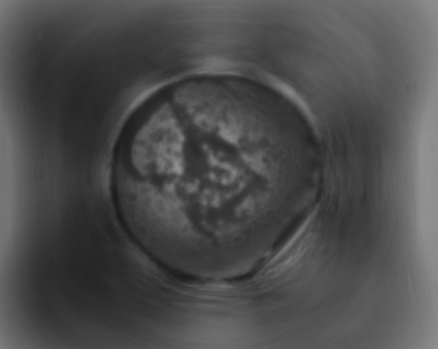 X0000093161463200710031437