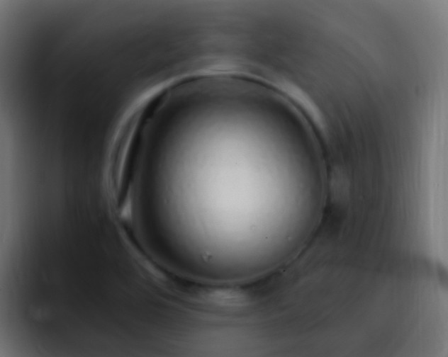 X0000093161464200710031437