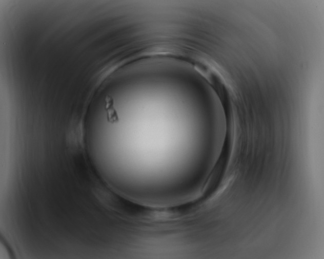 X0000093161465200710031437