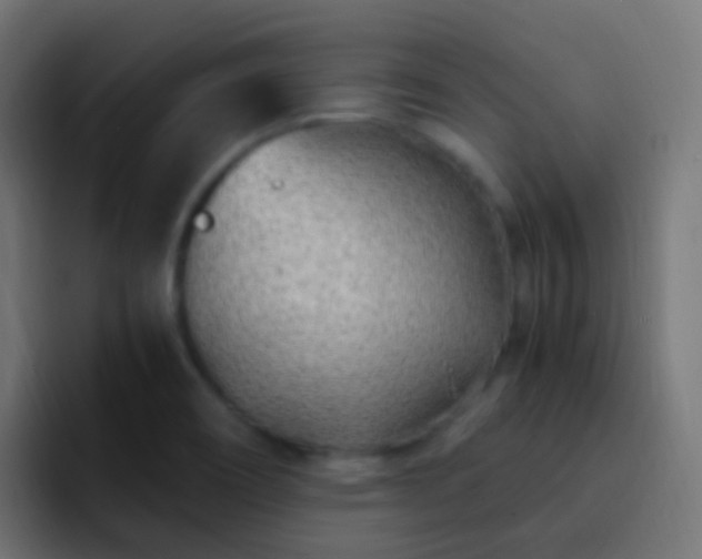 X0000093161466200710031437