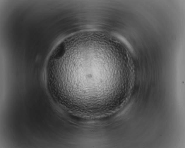 X0000093161467200710031437
