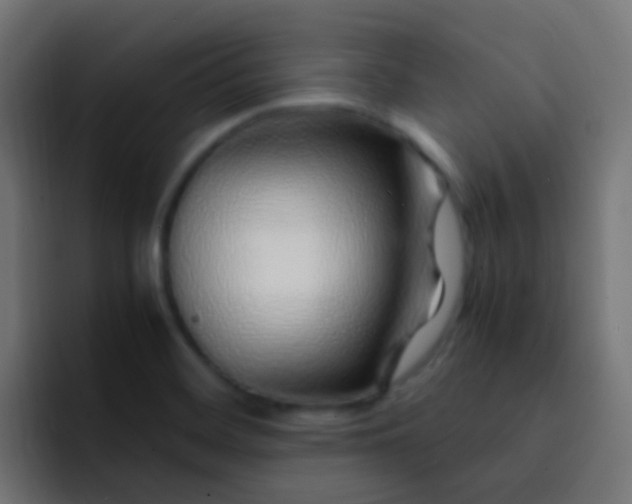 X0000093161468200710031437