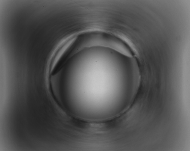 X0000093161469200710031437