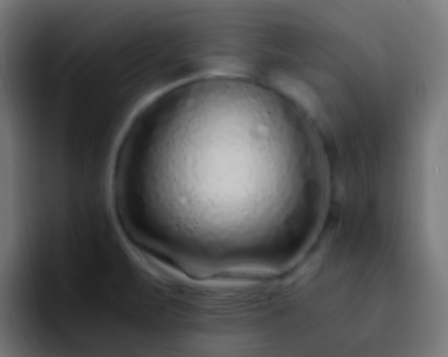 X0000093161471200710031437