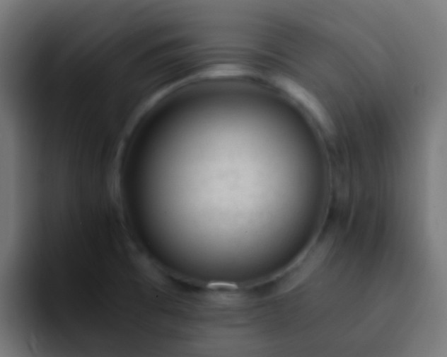 X0000093161473200710031437
