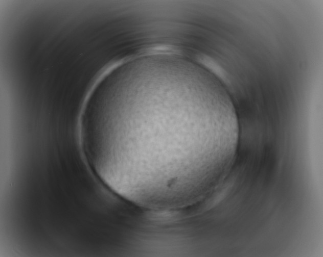 X0000093161474200710031437