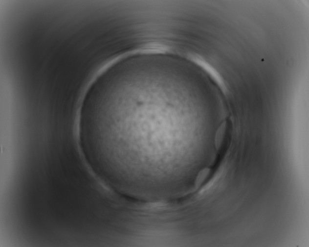 X0000093161477200710031437