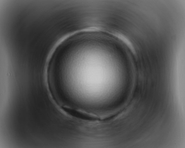 X0000093161480200710031437