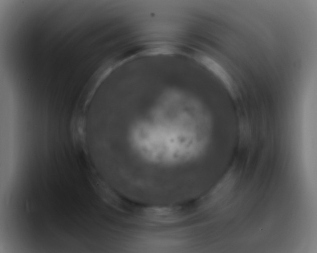 X0000093161481200710031437